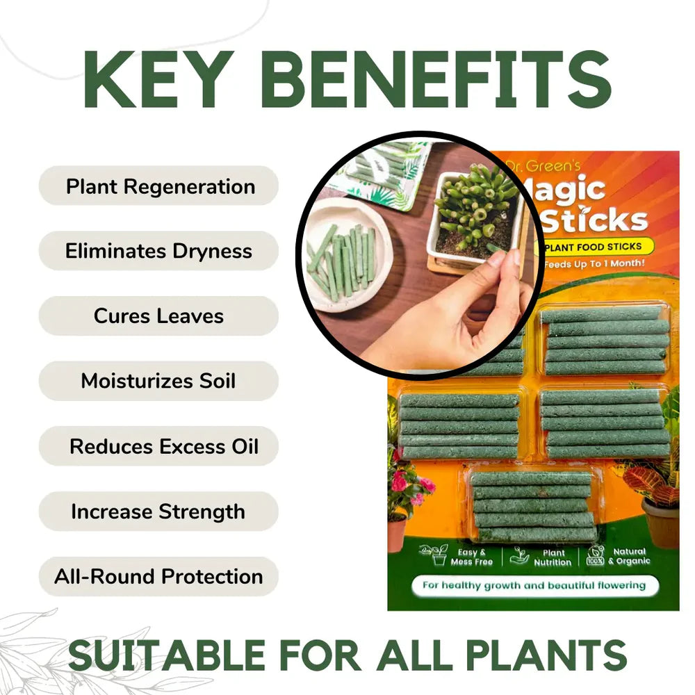 Dr.Green's - Magic Plant Sticks Pack Of 2