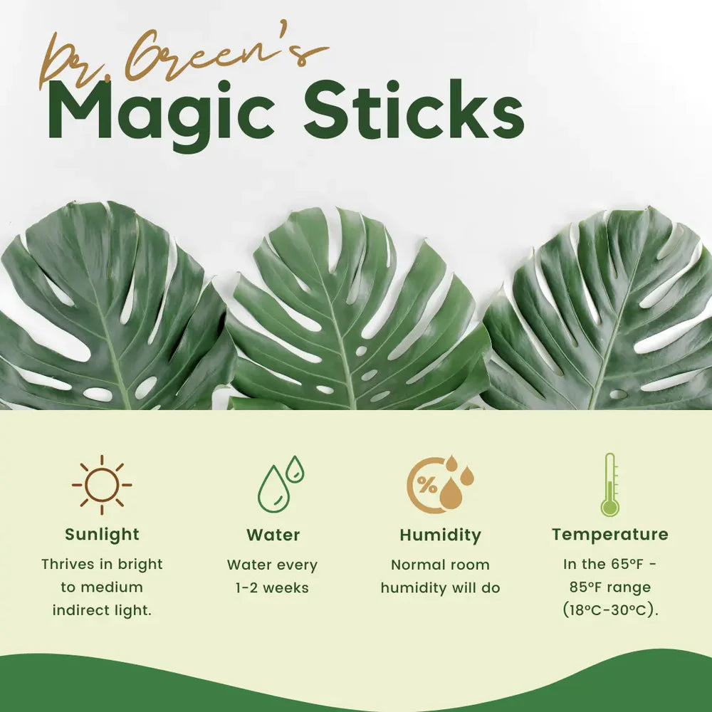 Dr.Green's - Magic Plant Sticks Pack Of 2