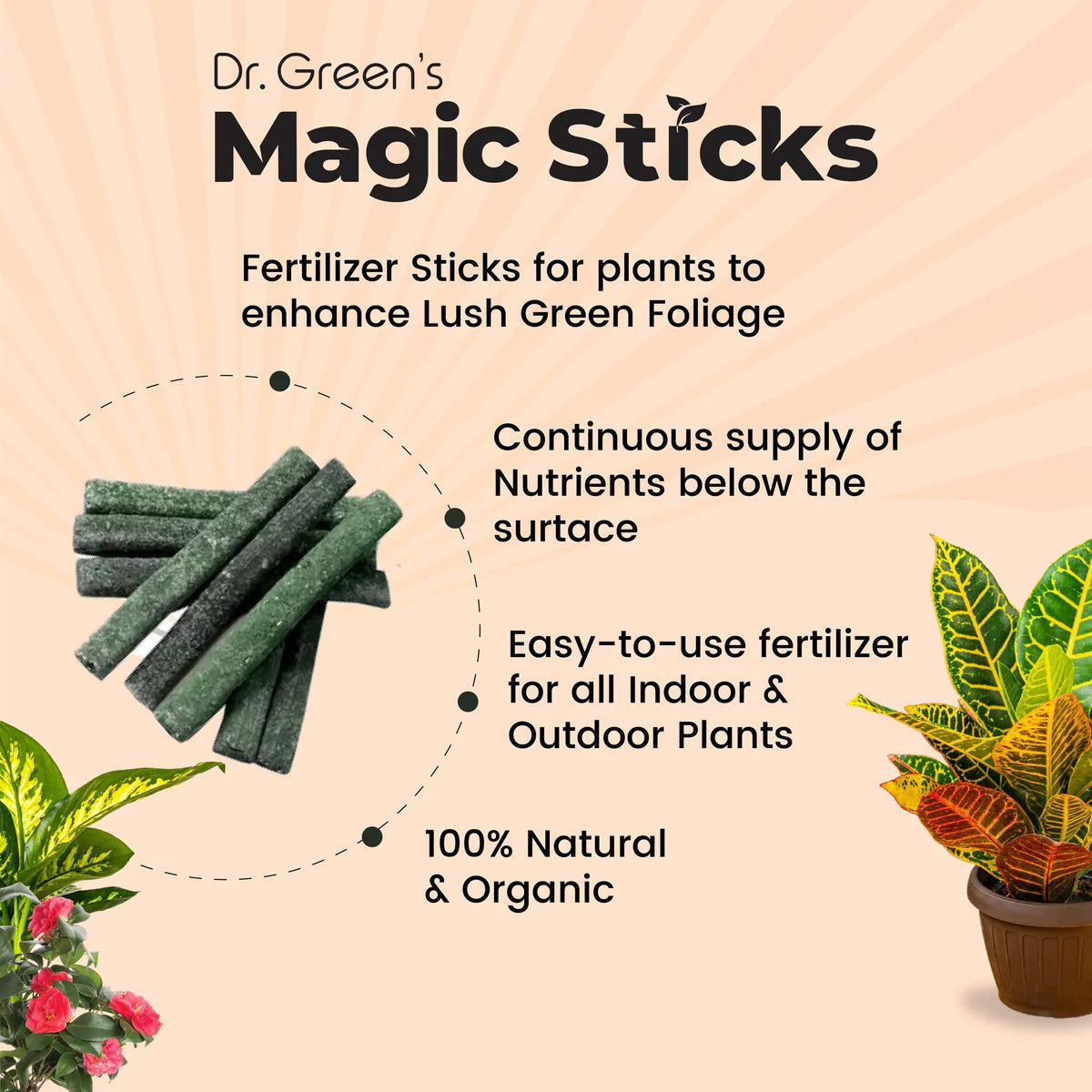 Dr.Green's - Magic Plant Sticks Pack Of 2