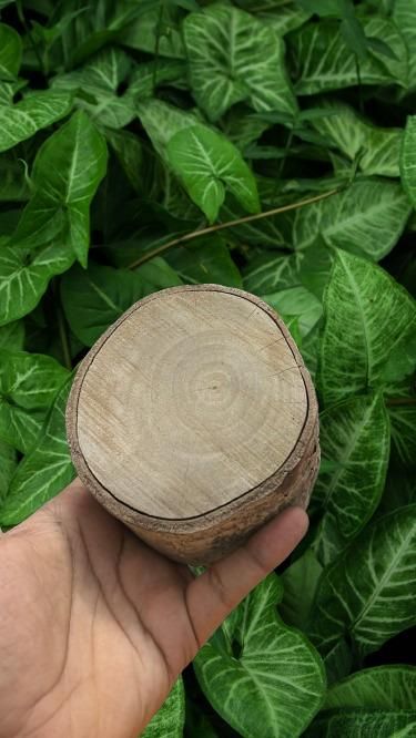 Ayurvedic Healing Wood
