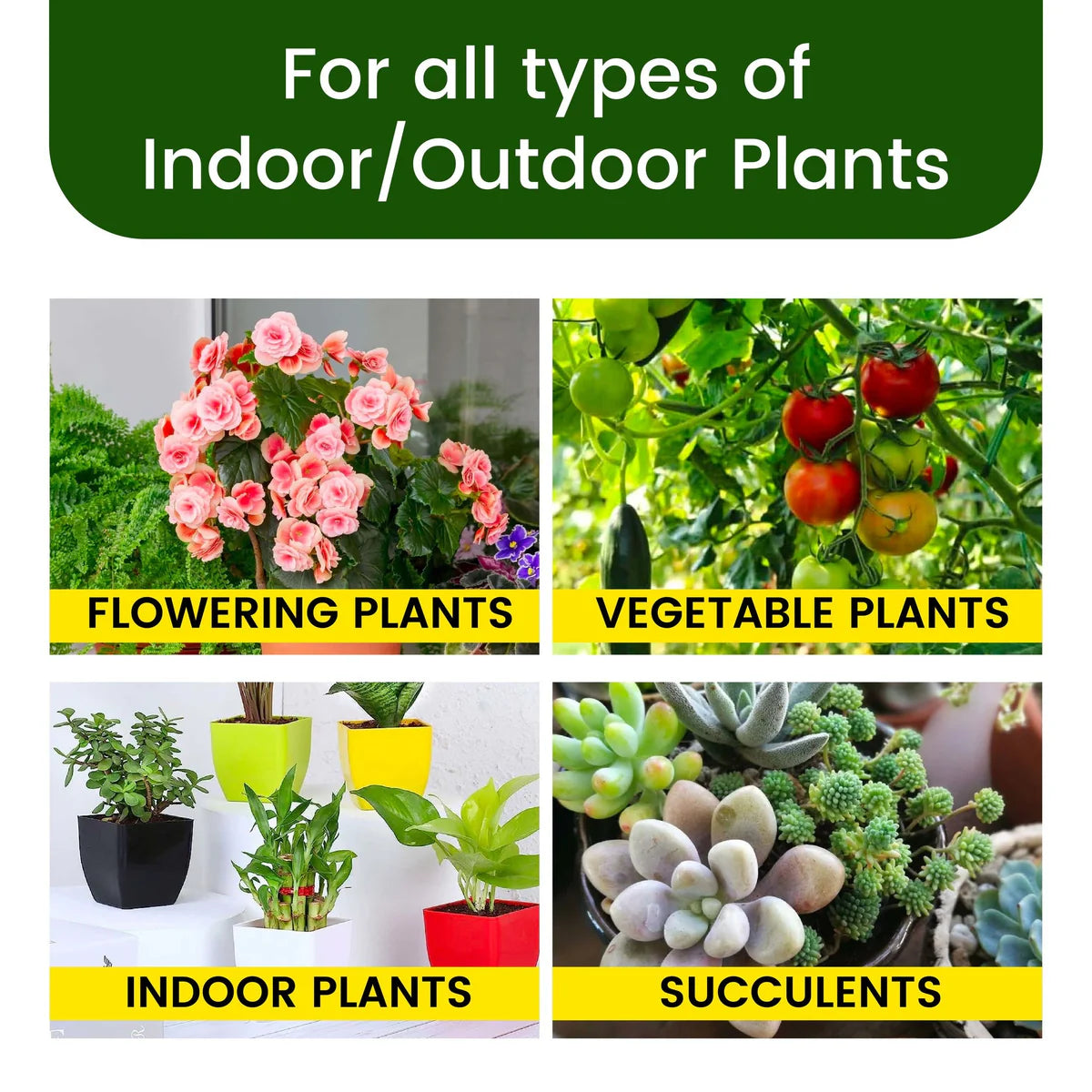 Dr.Green's - Magic Plant Sticks Pack Of 2