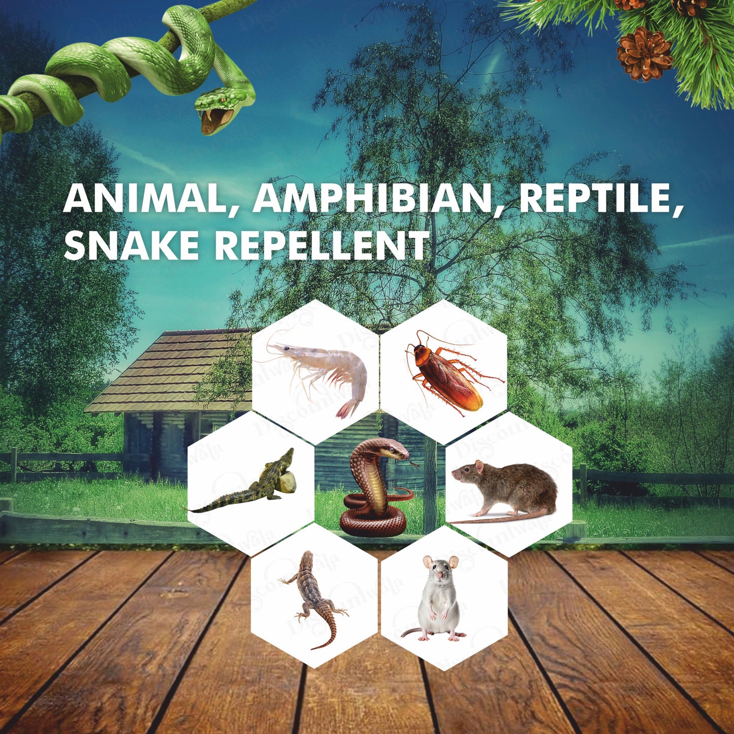 🔥Hot Sale 60% Off-Snake Powerful Repellent 🔥