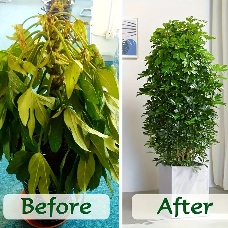 😍HOT SELL😍 Premium Organic Coconut Coir Bricks for Plants