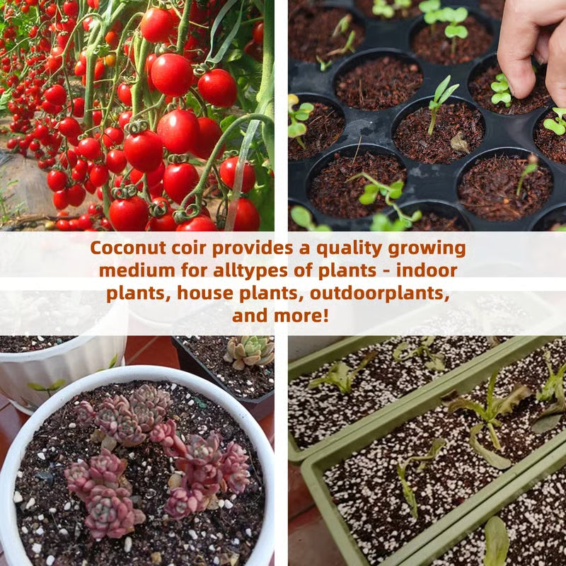 😍HOT SELL😍 Premium Organic Coconut Coir Bricks for Plants