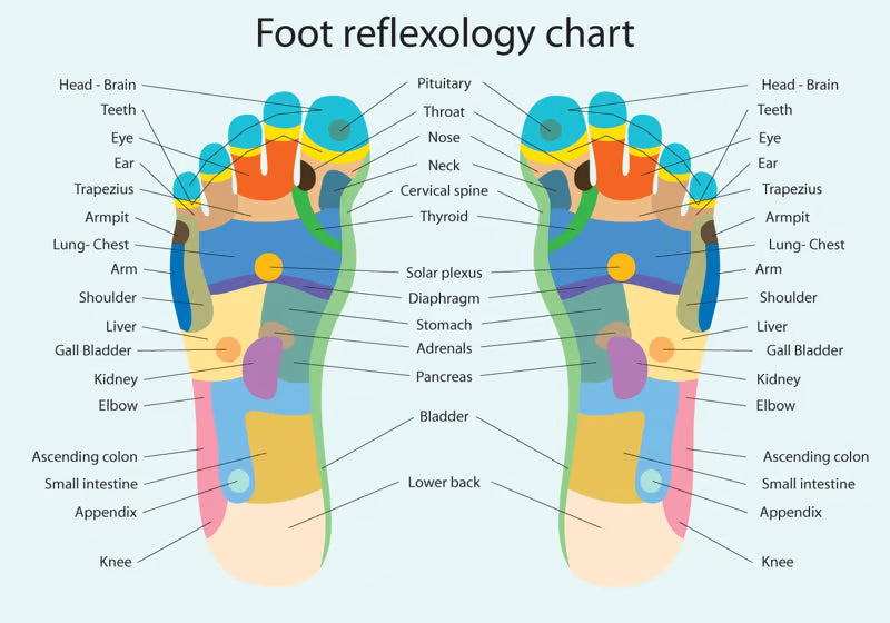 🔥HOT SELL 50% OFF 🔥 Foot Roller – Pain Relief & Relaxation Tool