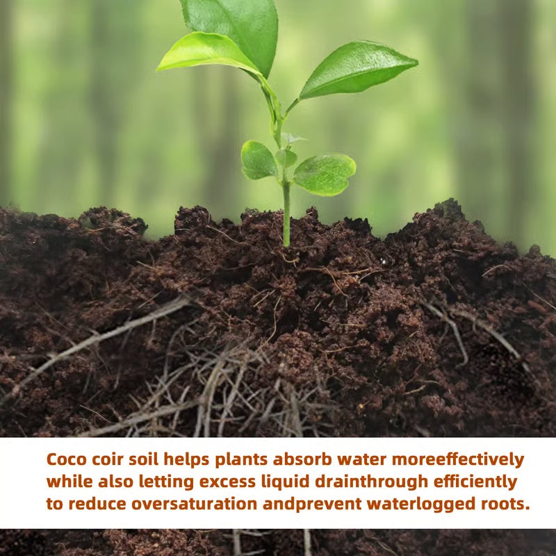 😍HOT SELL😍 Premium Organic Coconut Coir Bricks for Plants